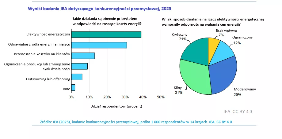 PL-IEA-energy-efficiency-ankieta-2025